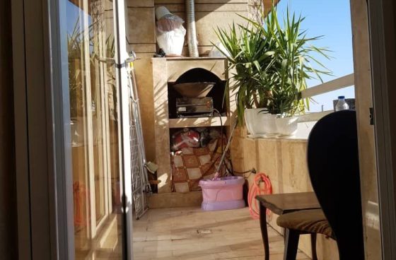 پانسیون خانگی سگ و گربه لوکس VIP شاینی