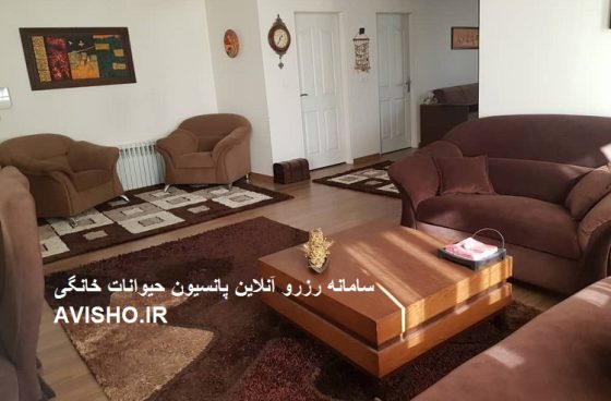 پانسیون خانگی سگ و گربه لوکس VIP شاینی