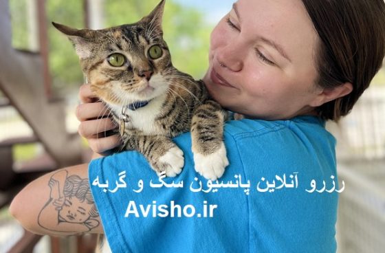پانسیون سگ، گربه، پرنده و حیوانات خانگی از کجا پیدا کنم؟