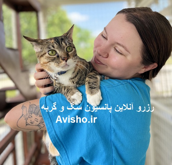 پانسیون سگ، گربه، پرنده و حیوانات خانگی از کجا پیدا کنم؟