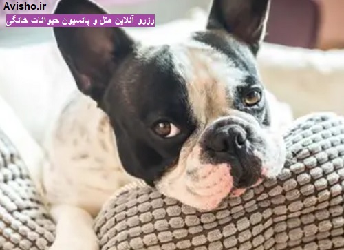 موقعیت