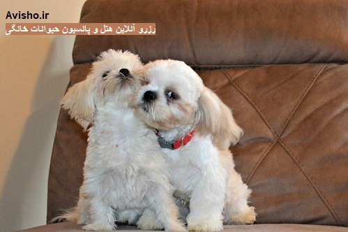 موقعیت